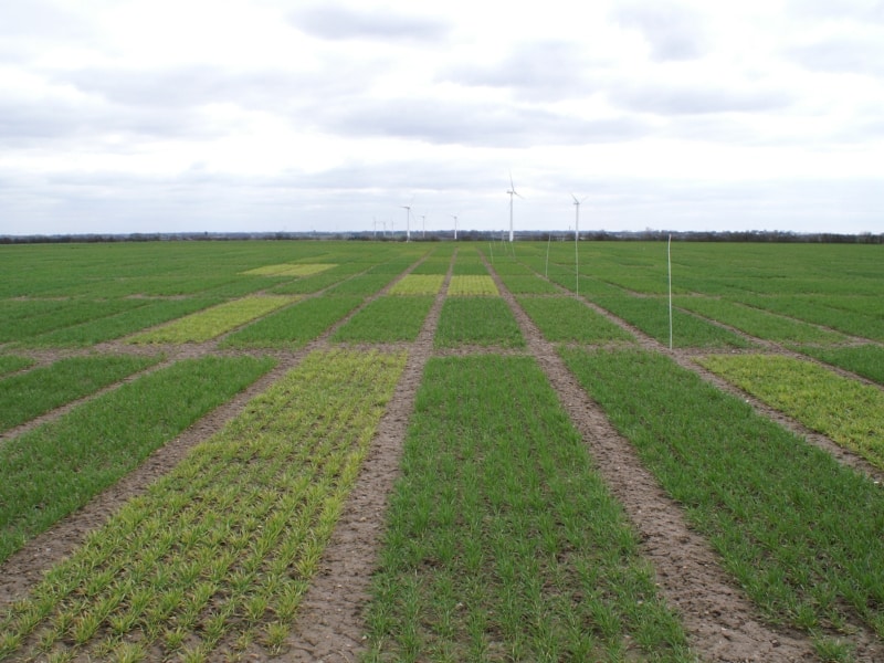 A picture of a field trial from Agrolab. Pictured is a field with crops devided in small square sections. Some sections are light green than others.