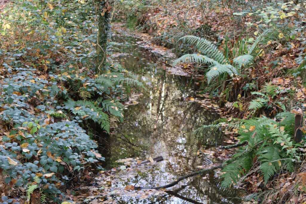 photo-1762756391831-237f3712f05f-1