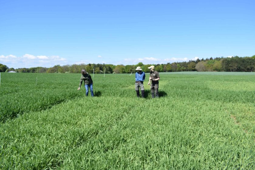 Agrolab field trial visit EU North Zone 2026 growing season